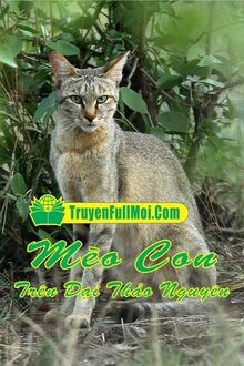 Mèo Con Trên Đại Thảo Nguyên
